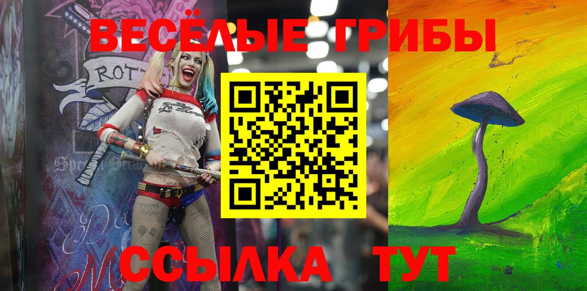 Богородск  Галлюциногенные грибы GOLDEN TEACHER  Вход с VPN 