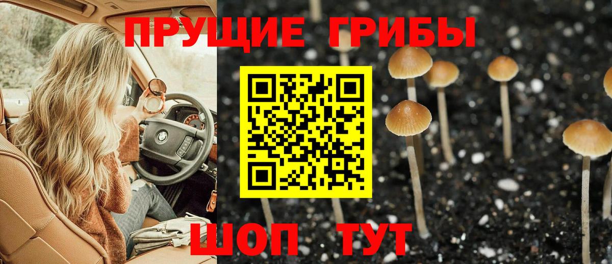 Галлюциногенные грибы прущие грибы Богородск